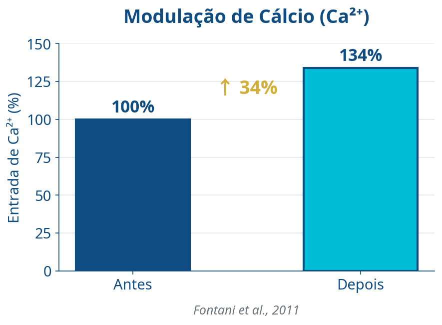 Mecanismos Moleculares da Tecnologia REAC®